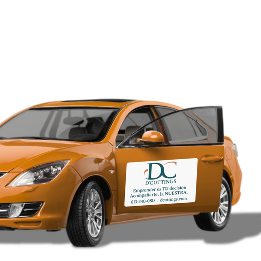 Magneto para Auto 18x24”